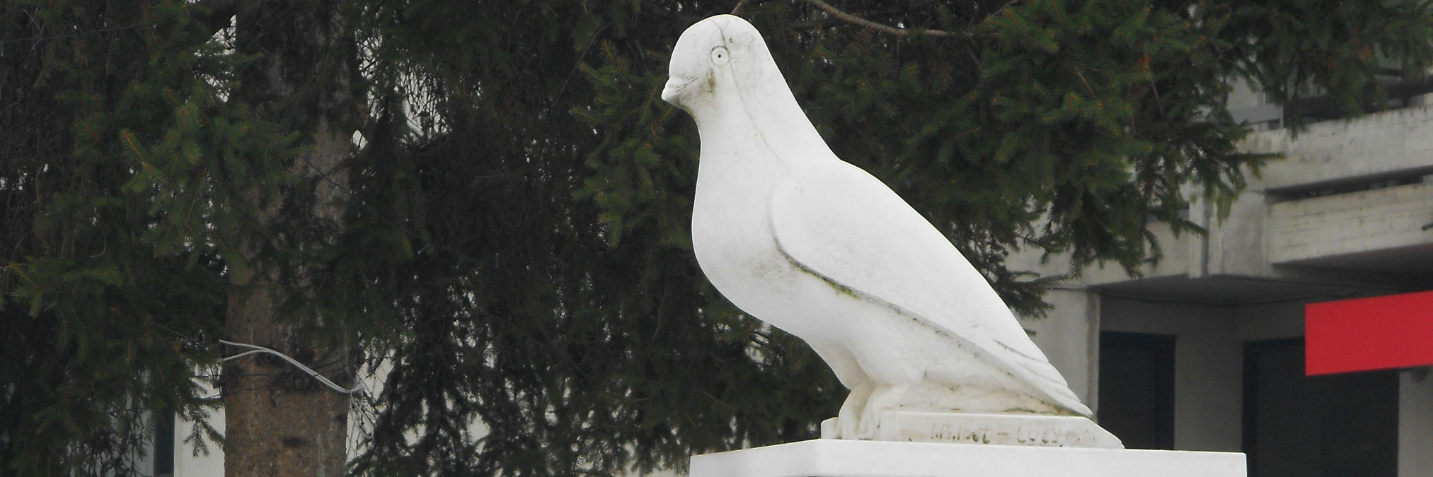 БОСНІЙСЬКИЙ «ГОЛУБ» ТА ГІЛЛЯ ДОНБАСУ