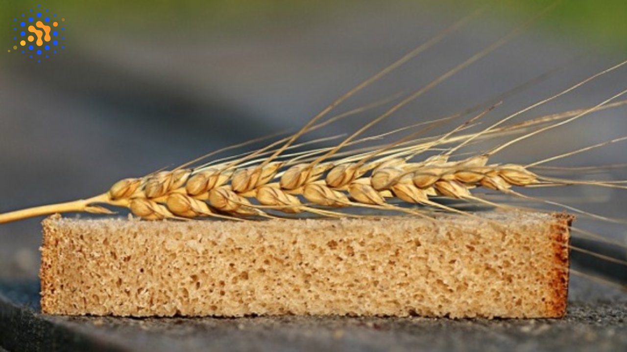 <strong>Голод у черзі</strong><strong></strong>