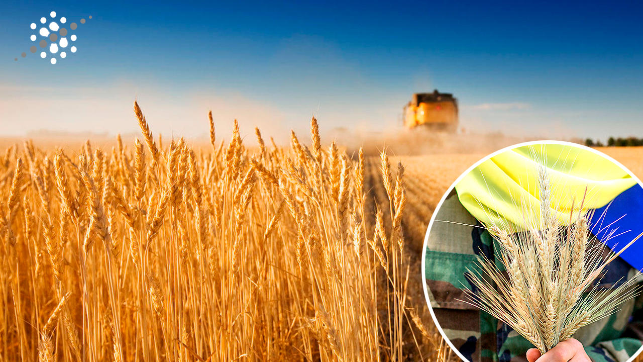 ВІЙНА ТА ХЛІБ: АПК України на військовому та аграрному фронті